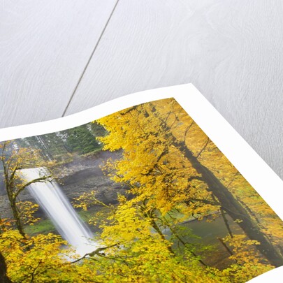 Fall colors add beauty to South South Silver Falls, Silver Falls State Park, Oregon by Anonymous
