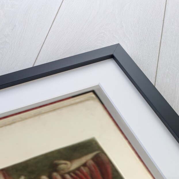 Group of dissected hands by Jacques Gautier D'Agoty and Joseph Guichard Duverney by Anonymous