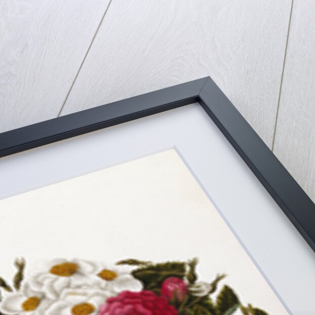 Frontispiece of Roses by Mary Lawrence