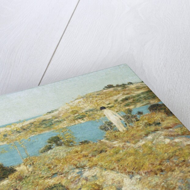 Dune Pool by Frederick Childe Hassam