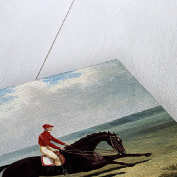 The Baron with Bumpy Up, at Newmarket by John Frederick Herring Sr.