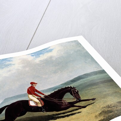 The Baron with Bumpy Up, at Newmarket by John Frederick Herring Sr.