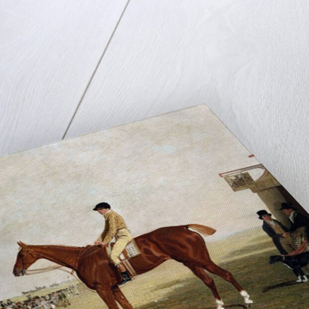 The Duke of Westminster's Filly 'Defiance' by Benjamin Marshall
