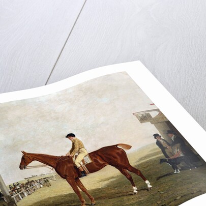 The Duke of Westminster's Filly 'Defiance' by Benjamin Marshall