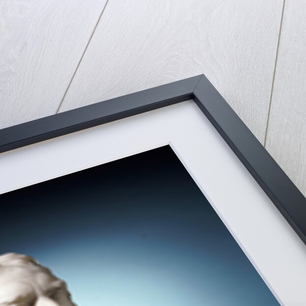 Bust of Sir Isaac Newton attributed to Joseph Wilton by Anonymous