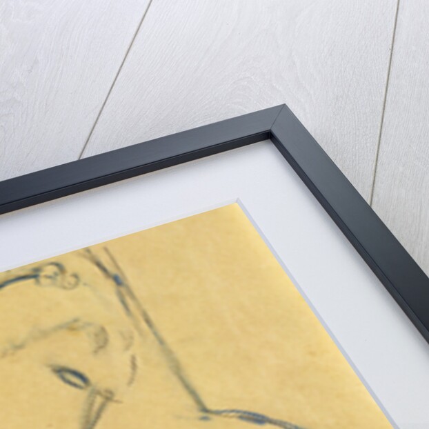 Seated Woman by Amedeo Modigliani