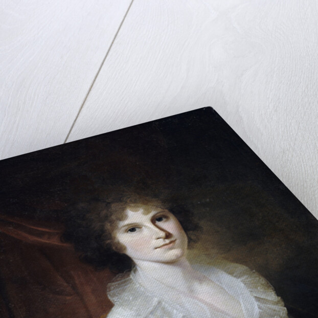 Portrait of Ann Emily Rush by James Peale the Elder