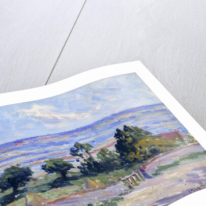 Haystacks by the Sea by Maximilien Luce