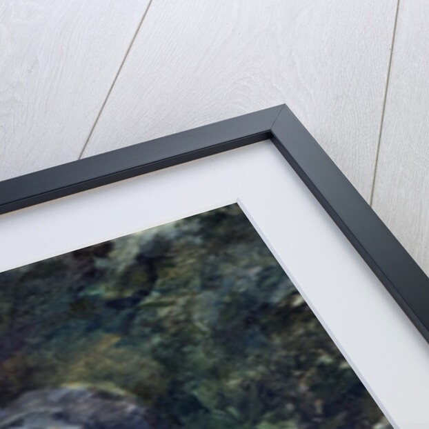 Head of a Man by Henri de Toulouse-Lautrec