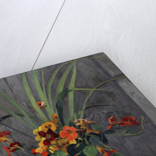 Nasturtiums by Felix Vallotton