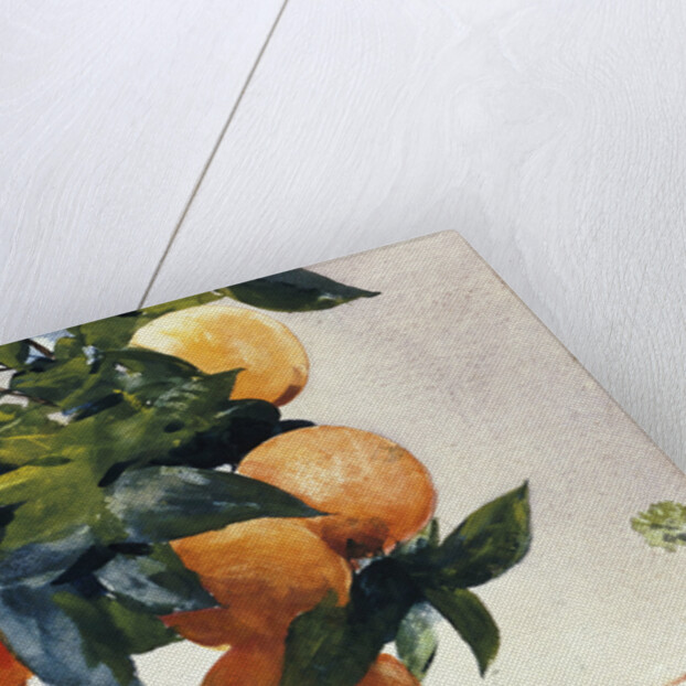Oranges on a Branch by Winslow Homer