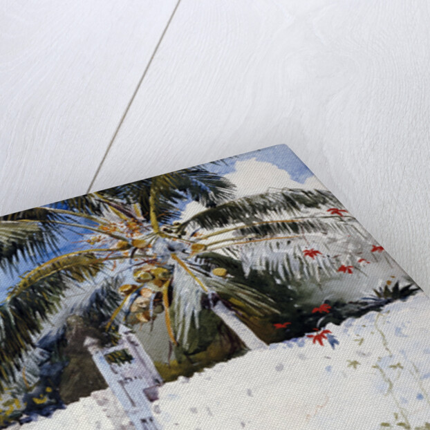 A Garden in Nassau by Winslow Homer