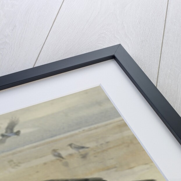 A Hooded Crow and a Carrion Crow by Archibald Thorburn