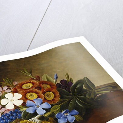 Periwinkle, Auricula and Grape Hyacinths on a Marble Ledge by Johan Laurentz Jensen