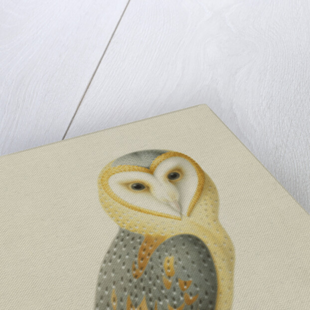 A Barn Owl (Tyto Alba) by Nicolas Robert