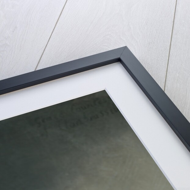 Portrait of Grace, Countess of Clanbrassil by Jean-Etienne Liotard