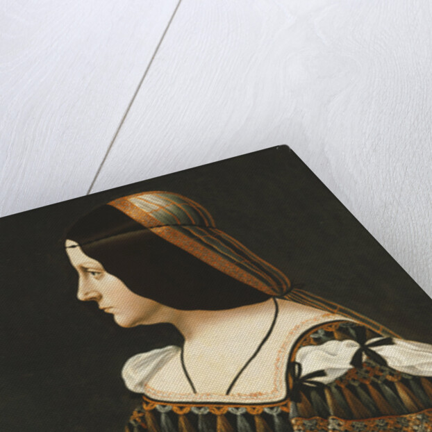 Portrait of a Lady, Half Length, in Profile by Bernardino de'Conti