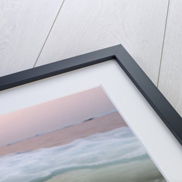 Polar Bear, Hudson Bay, Canada by Anonymous