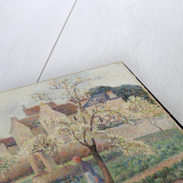 Plum Trees in Blossom by Camillle Pissarro