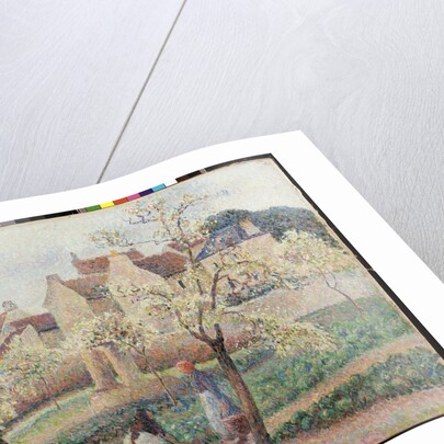 Plum Trees in Blossom by Camillle Pissarro
