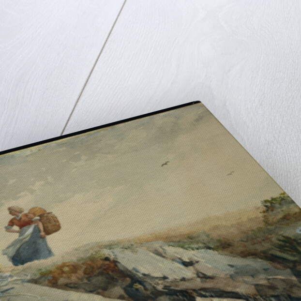 Down the Cliff by Winslow Homer