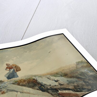 Down the Cliff by Winslow Homer
