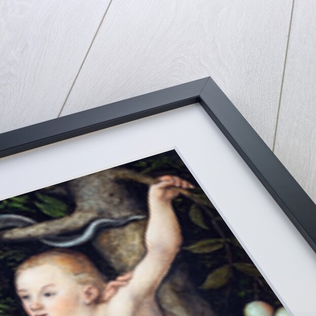 Adam and Eve by Lucas Cranach the Elder