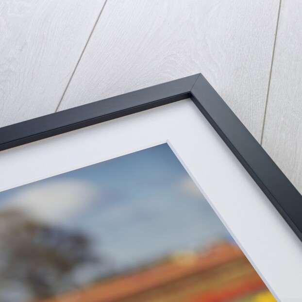 Yellow tulip field by Anonymous