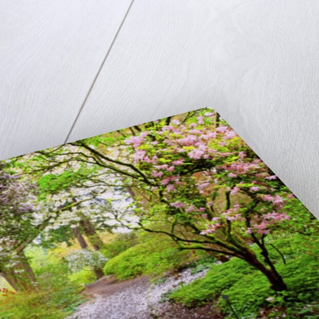 Spring flowers in Crystal Springs Rhododendron Garden, Portland, Oregon, USA by Anonymous