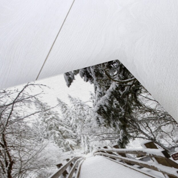 Footbridge covered in snow, Silver Falls State Park, Oregon, USA by Anonymous