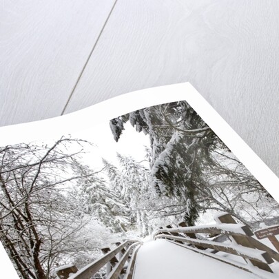 Footbridge covered in snow, Silver Falls State Park, Oregon, USA by Anonymous