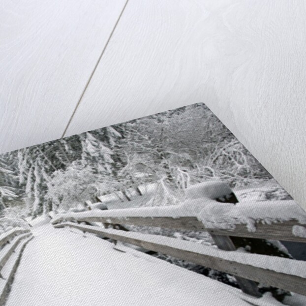 Footbridge covered in snow, Silver Falls State Park, Oregon, USA by Corbis