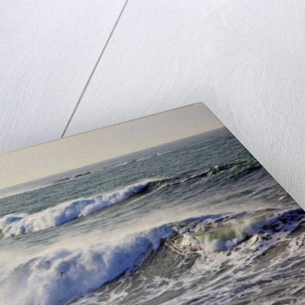 Winter storm waves crash on headline at Shore Aceres State Park, Oregon, USA by Anonymous