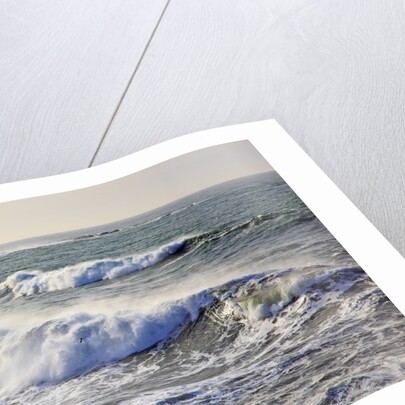 Winter storm waves crash on headline at Shore Aceres State Park, Oregon, USA by Anonymous