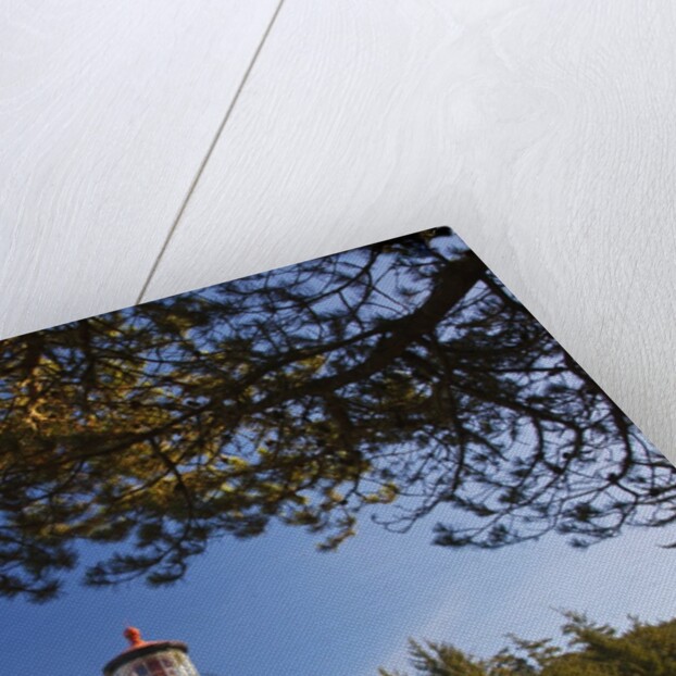 Ampqua Lighthouse, Oregon, USA by Anonymous