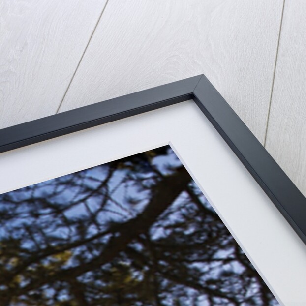 Ampqua Lighthouse, Oregon, USA by Anonymous