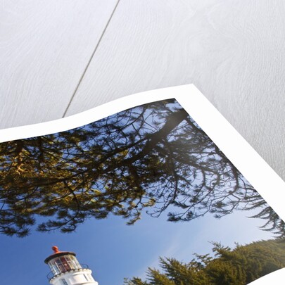 Ampqua Lighthouse, Oregon, USA by Anonymous