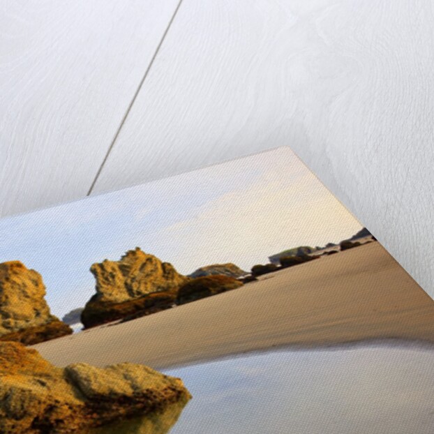 Sunrise tide pools at low tide, Bandon Beach, Oregon, USA by Anonymous