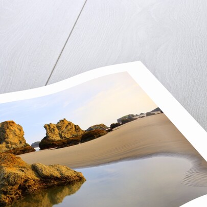 Sunrise tide pools at low tide, Bandon Beach, Oregon, USA by Anonymous