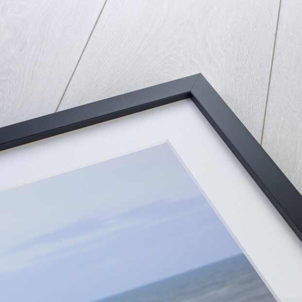 Seagull at Boiler Bay, Oregon, USA by Anonymous