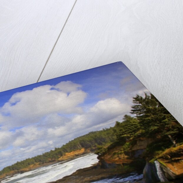 Boiler Bay State Park, Oregon, USA by Anonymous