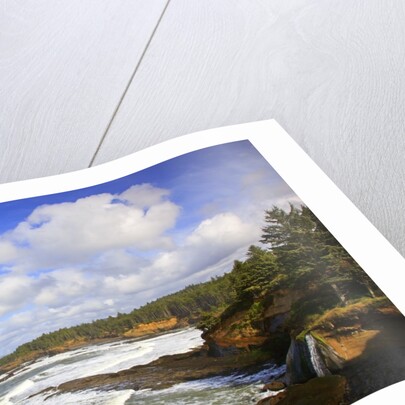 Boiler Bay State Park, Oregon, USA by Anonymous