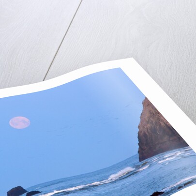 Moon set over rock formations at low tide, Bandon Beach, Oregon, USA by Anonymous