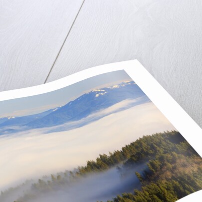 Morning fog covers Hood River Valley, Oregon, USA by Anonymous