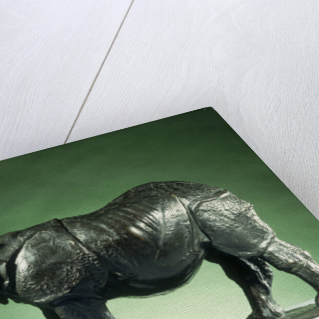 3 Year Old Rhinoceros by Rembrandt Bugatti