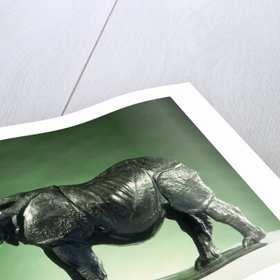 3 Year Old Rhinoceros by Rembrandt Bugatti