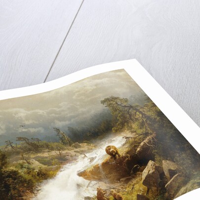 A Bear and Her Cubs in Yosemite by Herman Herzog