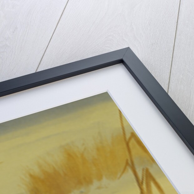 A Kingfisher Amongst Reeds in Winter by Archibald Thorburn