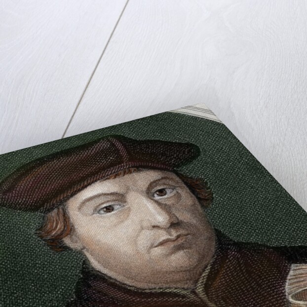 Martin Luther (1483-1546) by Anonymous