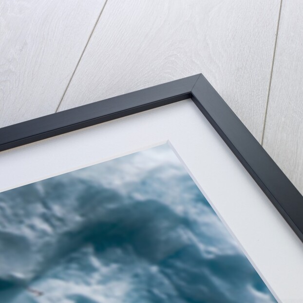Seagull, Lilliehook Glacier, Spitzbergen by Anonymous